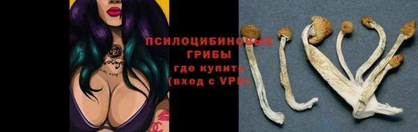 ALPHA PVP Абаза