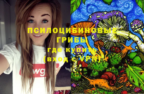 МДПВ Абдулино