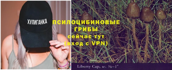 ALPHA PVP Абаза